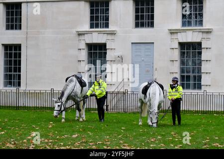 Londra, Regno Unito. 3 novembre 2024. Cavalli della polizia che pascolano fuori dal Ministero della difesa. Crediti: Matthew Chattle/Alamy Live News Foto Stock