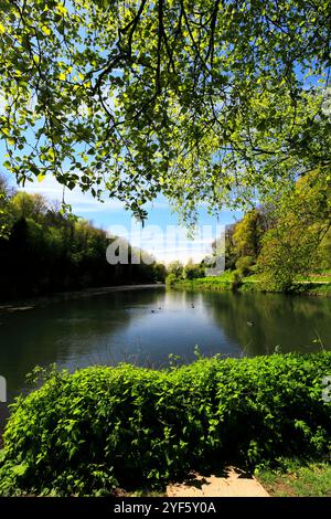 Vista del lago a Creswell Crags Prehistoric Gorge, Nottinghamshire, Inghilterra, Regno Unito Foto Stock