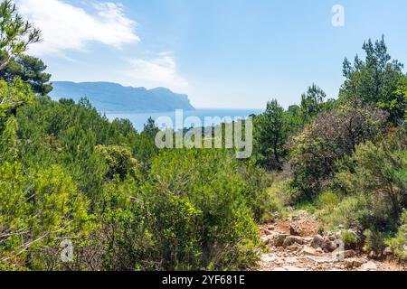 Calanque de Port pin con le Calanques de la Ciotat sullo sfondo, Calanques di Marsiglia Foto Stock