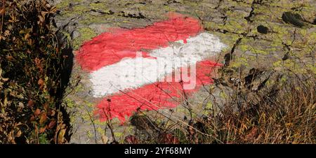 Waymark con bandiera austriaca, dipinto su una massiccia formazione rocciosa vicino a Serfaus Foto Stock