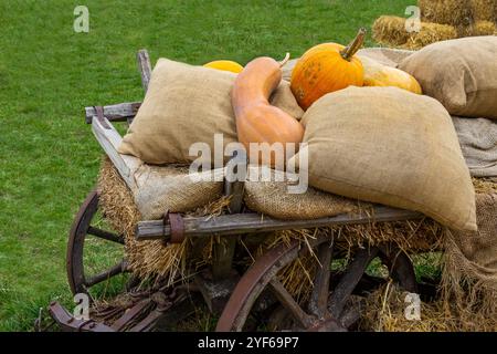 Vecchio carro contadino con fieno, sacchi su un prato verde. Zucche gialle sui sacchi. Foto Stock