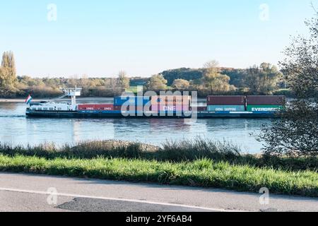 Düsseldorf 03.11.2024 Handelsschiff Statendam Rheinschiff Rheinschiffer Transportschiff Frachtschiff Frachtgut Stückgut Containerschiff container Frachtcontainer Lieferkette Lieferketten Lieferkettengesetz Transportwege Rhein bei Volmerswerth Seidenstraße Hapag-Lloyd GSLines Cosco Shipping Düsseldorf Düsseldorf 2024 Foto Stock