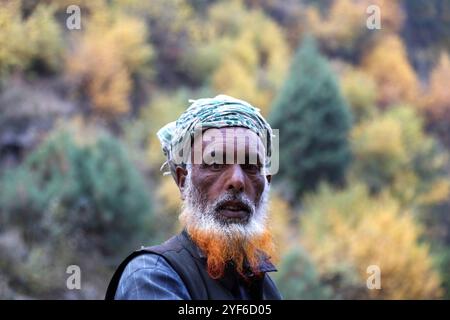 La vita quotidiana dei nomadi nel villaggio di Hajan Nard nel Kashmir, India, Un nomade del Kashmir nel villaggio di Hajan Nard, a Tral, a circa 45 km da Srinagar, India, il 3 novembre 2024. Hajan Nard è un piccolo villaggio panoramico situato vicino a Srinagar, nello stato settentrionale del Jammu e del Kashmir, in India. Immerso nel verde lussureggiante e nel terreno montuoso tipico della regione, Hajan Nard offre uno sguardo sullo stile di vita rurale della valle del Kashmir. Srinagar India Copyright: XMatrixxImages/DanishxIsmailx Foto Stock