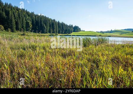 LAC ter con il villaggio di le Lieu sullo sfondo, Vaud Foto Stock