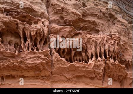 La roccia di arenaria ricorda i denti minacciosi di un Tyrannosaurus Rex. Foto Stock