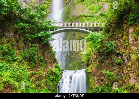Multnomah Falls, Oregon, USA located in the Columbia River Gorge. Foto Stock
