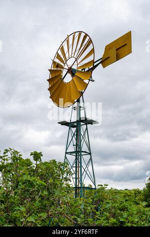 Widmill pompava acqua in un pozzo in Spagna Foto Stock