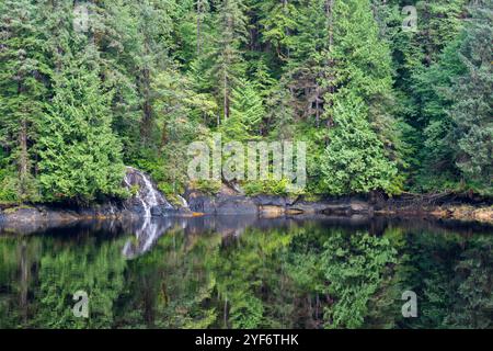 Alaska sud-orientale, Misty Fjord National Monument, Rudyerd Bay Fjord. Antica foresta incontaminata con riflessi. Foto Stock