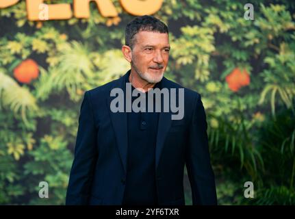 Londra, Inghilterra - 3 novembre: Antonio Banderas partecipa alla prima mondiale di Paddington Oin Perù a Leicester Square il 3 novembre 2024 a Londra, Inghilterra (credito: Lounisphotography / Alamy Live News) Foto Stock