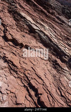 Modelli contrastanti di luce e ombre scolpiti sul lato rosso e marrone del Sacramento Mountain con vegetazione che cresce dalle crepe e da Crevi Foto Stock