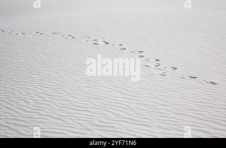 Modelli unici e astratti di impronte nella sabbia del White Sands National Park Alamogordo, New Mexico Foto Stock