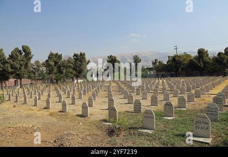 Cimitero dei Martiri di Halabja nel Kurdistan iracheno Foto Stock