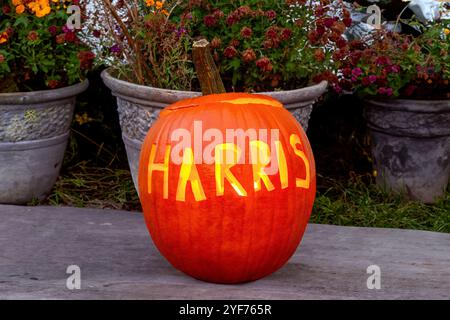 2024 esposizione delle elezioni presidenziali degli Stati Uniti con il cognome del democratico Kamala Harris scolpito in una zucca / Jack-o’-Lantern, Minneapolis, Minnesota Foto Stock