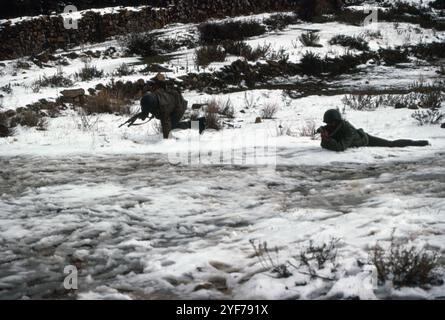 Fronte libanese del Libano dicembre 1981 / gennaio 1982 campo di addestramento Foto Stock