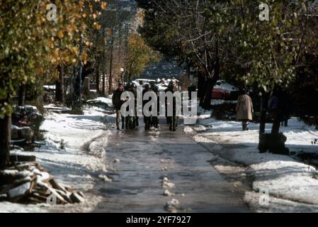 Fronte libanese del Libano dicembre 1981 / gennaio 1982 campo di addestramento Foto Stock