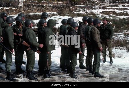 Fronte libanese del Libano dicembre 1981 / gennaio 1982 campo di addestramento Foto Stock