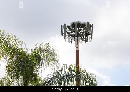 Los Angeles, California, Stati Uniti - 03-25-2019: Una vista di una torre cellulare travestita da un albero, con una facciata di palme in primo piano. Foto Stock