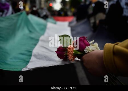 Bogotà, Colombia. 3 novembre 2024. Gli attivisti pro-palestinesi partecipano a una manifestazione a sostegno della Palestina e del Libano, mentre il conflitto israelo-Hamas segna un anno il 7 ottobre 2024. I manifestanti si sono riuniti all'ambasciata degli Stati Uniti a Bogotà, Colombia. Foto di: Cristian Bayona/Long Visual Press credito: Long Visual Press/Alamy Live News Foto Stock