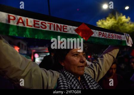 Bogotà, Colombia. 3 novembre 2024. Gli attivisti pro-palestinesi partecipano a una manifestazione a sostegno della Palestina e del Libano, mentre il conflitto israelo-Hamas segna un anno il 7 ottobre 2024. I manifestanti si sono riuniti all'ambasciata degli Stati Uniti a Bogotà, Colombia. Foto di: Cristian Bayona/Long Visual Press credito: Long Visual Press/Alamy Live News Foto Stock