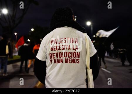 Bogotà, Colombia. 3 novembre 2024. Gli attivisti pro-palestinesi partecipano a una manifestazione a sostegno della Palestina e del Libano, mentre il conflitto israelo-Hamas segna un anno il 7 ottobre 2024. I manifestanti si sono riuniti all'ambasciata degli Stati Uniti a Bogotà, Colombia. Foto di: Cristian Bayona/Long Visual Press credito: Long Visual Press/Alamy Live News Foto Stock