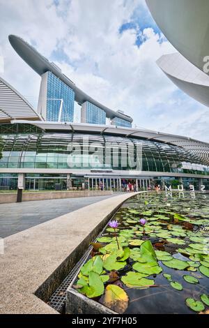 Singapore - agosto 2024: Laghetto di giglio sotto il design a forma di loto del museo delle scienze artistiche situato di fronte a Marina Bay Sands Foto Stock