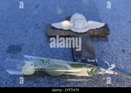 All Souls' Day o commemorazione di tutti i fedeli che partirono in un cimitero di campagna francese. Cimitero, tomba, volta, memoria del defunto, cattolico rel Foto Stock