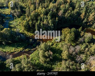 Una prospettiva aerea cattura un fiume tortuoso che attraversa una fitta vegetazione, con la superficie scura del fiume che contrasta con alberi e verdure vivaci Foto Stock