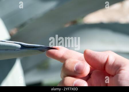 La mano di un contadino di Agave tocca la spina affilata e forte di una delle foglie della pianta produttrice di Tequila. Foto Stock