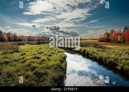 Autunno lungo il fiume Cogmagun   Cogmagun, nuova Scozia, CAN Foto Stock