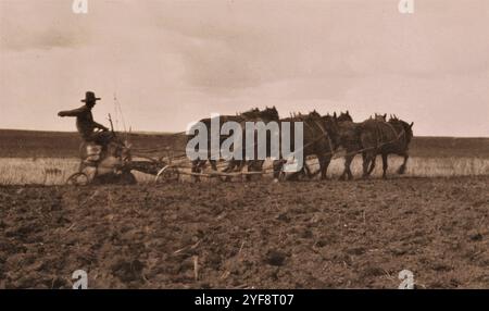 Homesteading, anni '1920, Saskatchewan, Canada Foto Stock
