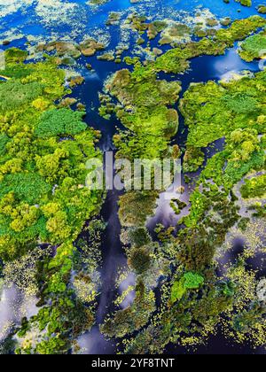 Antenna fuco vista fiume ventoso , attraversare ruscelli , e la vena come acqua modi svolta attraverso l'erba prato piano di verde e lussureggiante valle di montagna torrenti cross Foto Stock