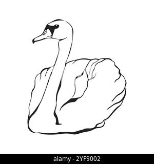 Uccello cigno sulla superficie dell'acqua in stile disegno a linee continue. Schizzo lineare nero isolato su sfondo bianco. Illustrazione vettoriale Illustrazione Vettoriale