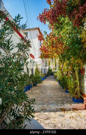 Strada stretta con fiori sull'isola greca di Hydra *** enge gasse mit blumen auf der griechischen insel Hydra Copyright: XW. Simlingerx Foto Stock