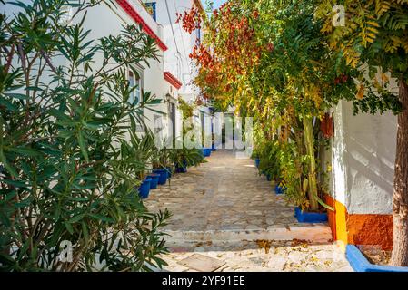 Strada stretta con fiori sull'isola greca di Hydra *** enge gasse mit blumen auf der griechischen insel Hydra Copyright: XW. Simlingerx Foto Stock