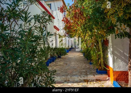 Strada stretta con fiori sull'isola greca di Hydra *** enge gasse mit blumen auf der griechischen insel Hydra Copyright: XW. Simlingerx Foto Stock