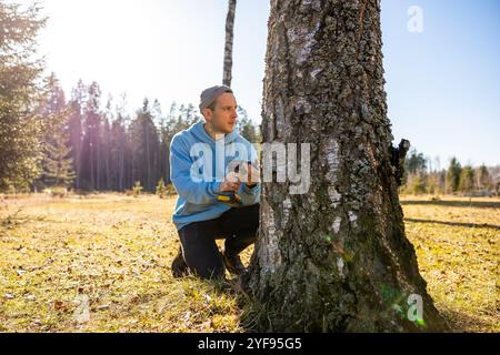 Uomo che sta perforando un albero di betulla per raccogliere linfa fresca in una brillante giornata primaverile Foto Stock