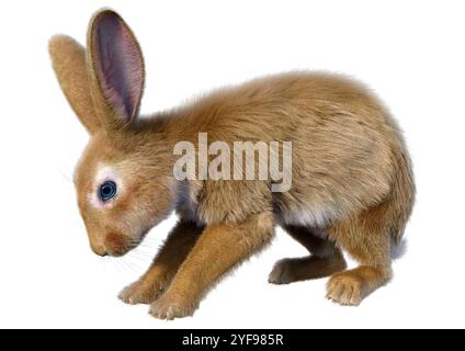 Rendering 3D di un coniglio gigante continentale isolato su sfondo bianco Foto Stock