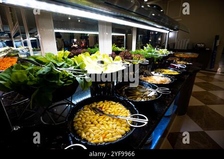 varietà di piatti e spuntini, disposti splendidamente su un tavolo in un hotel di lusso all-inclusive. perfetto per l'uso nel settore alimentare, dei viaggi e del lusso Foto Stock