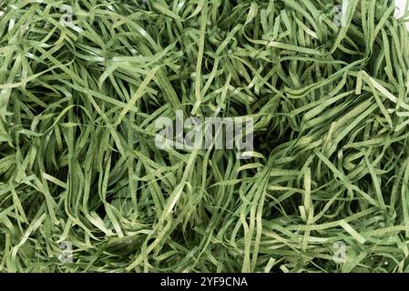 Riempitivo per coriandoli in scatola su sfondo bianco Foto Stock