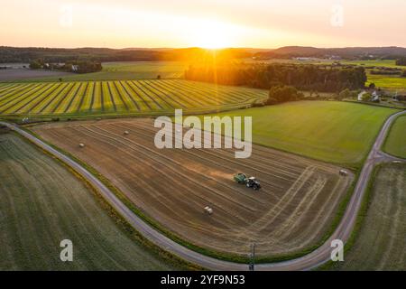 Vista panoramica del paesaggio agricolo contro il cielo limpido durante l'alba Foto Stock