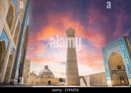 Bukhara, Uzbekistan Madrasa Mir-i-Arab, minareto e torre Kalyan. Traduzione sulla moschea: "Poi Kalyan Mosque" Foto Stock