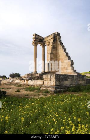 Antiche colonne di Apollon Hylates, dio del bosco, santuario nel distretto di Limassol, Cipro, Europa Foto Stock