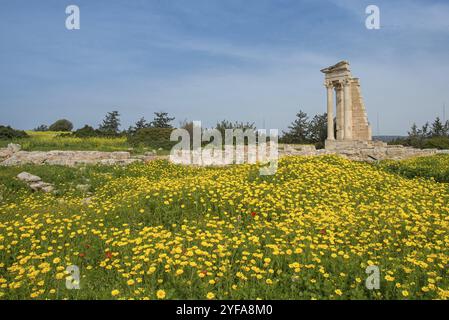 Antiche colonne di Apollon Hylates, dio del bosco, santuario nel distretto di Limassol, Cipro, Europa Foto Stock