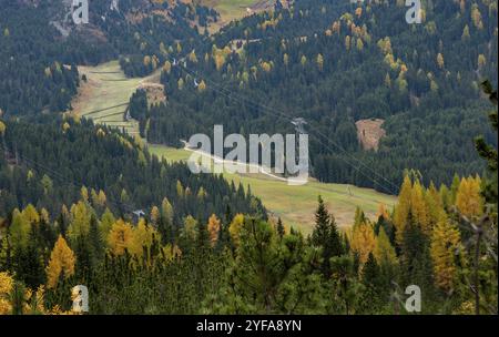 Alberi di Larche in una valle in autunno. Stazione sciistica nelle alpi. Paesaggio autunnale nella foresta. Cortina d'Ampezzo, Italia, Europa Foto Stock