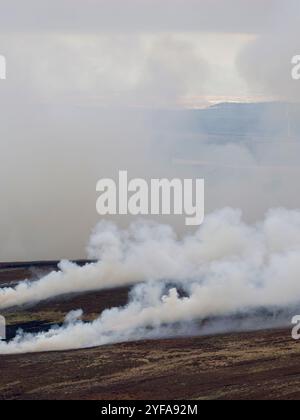 Heather Burning, da parte dei guardiani per incoraggiare la crescita giovane heather adatta al gabbiano. North Pennines, novembre 2024 Foto Stock