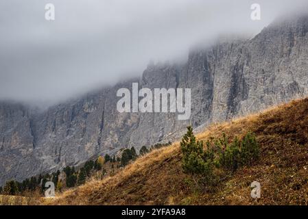 Viste mozzafiato sulle cime montuose di Langkofel o Saslonch, catena montuosa nelle dolomiti ricoperte di nebbia all'alba in Alto Adige, Ita Foto Stock