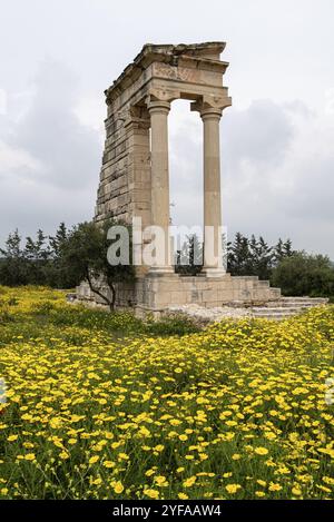 Antiche colonne di Apollon Hylates, dio del bosco, santuario nel distretto di Limassol, Cipro, Europa Foto Stock