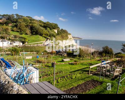 Allotti a Beer, Devon, Regno Unito. Foto Stock