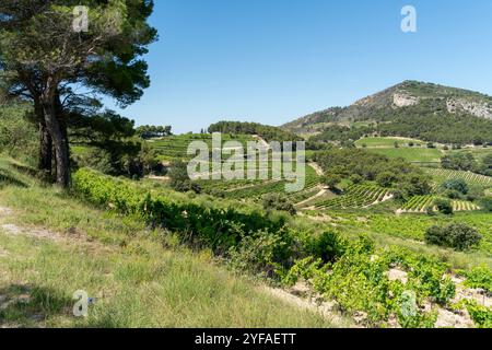 Paesaggio intorno a la Roque-Alric nel dipartimento di Vacluse nella regione della Provenza nel sud della Francia Foto Stock