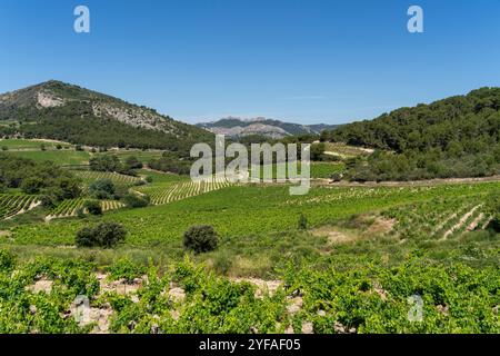 Paesaggio intorno a la Roque-Alric nel dipartimento di Vacluse nella regione della Provenza nel sud della Francia Foto Stock